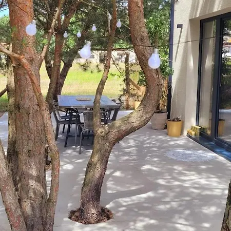 דירה Szyszka W Ogrodzie *