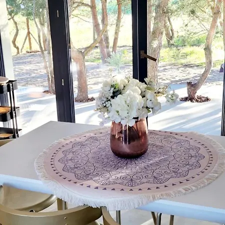 Szyszka W Ogrodzie * רוגובו