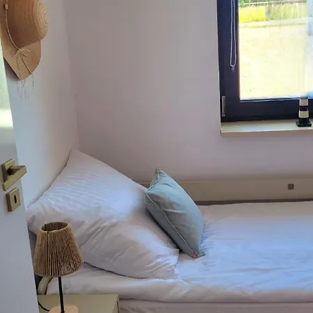 Szyszka W Ogrodzie *