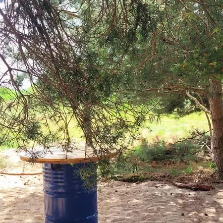 Szyszka W Ogrodzie * רוגובו