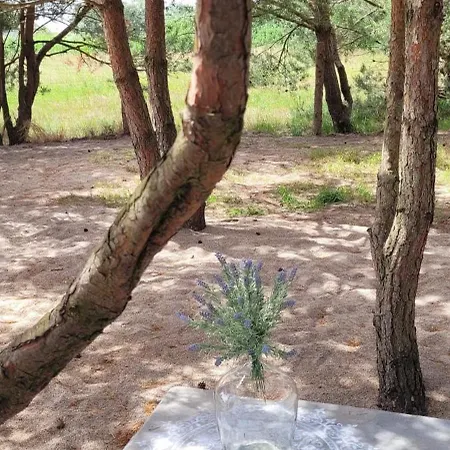 Szyszka W Ogrodzie דירה רוגובו