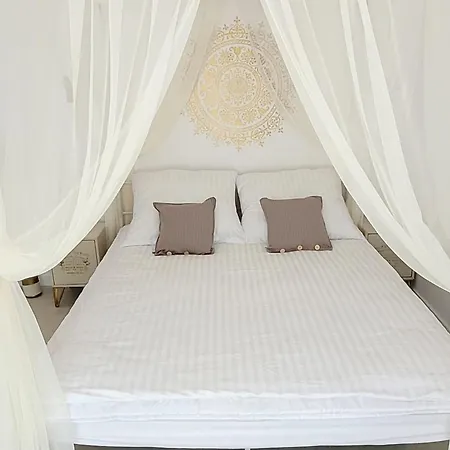 Szyszka W Ogrodzie *