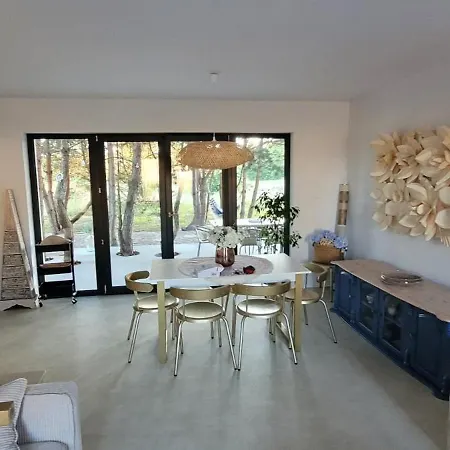 Szyszka W Ogrodzie *