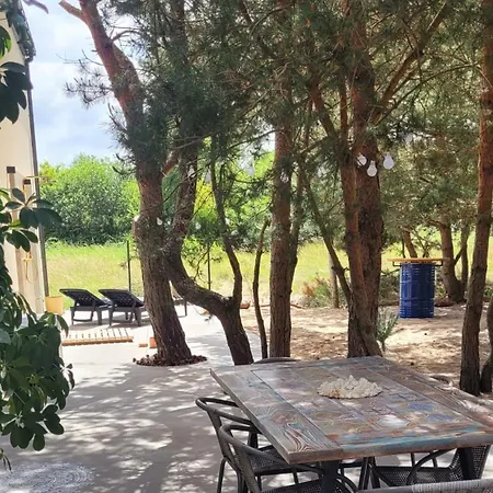 Szyszka W Ogrodzie דירה