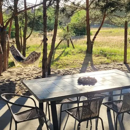 Szyszka W Ogrodzie *