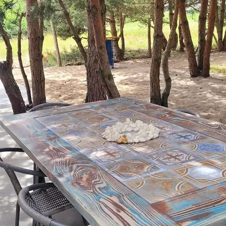 Szyszka W Ogrodzie Рогово