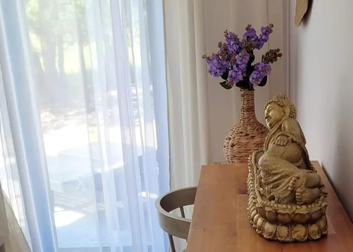 Szyszka W Ogrodzie * Rogowo (Gryfice)