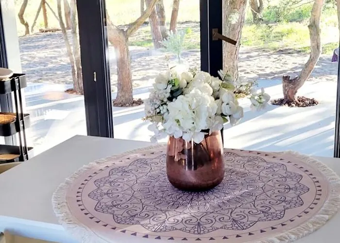 Szyszka W Ogrodzie * Rogowo (Gryfice)