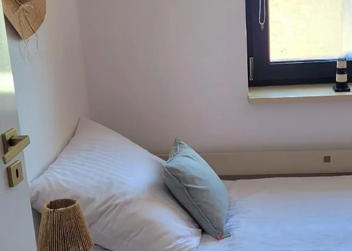 Szyszka W Ogrodzie *