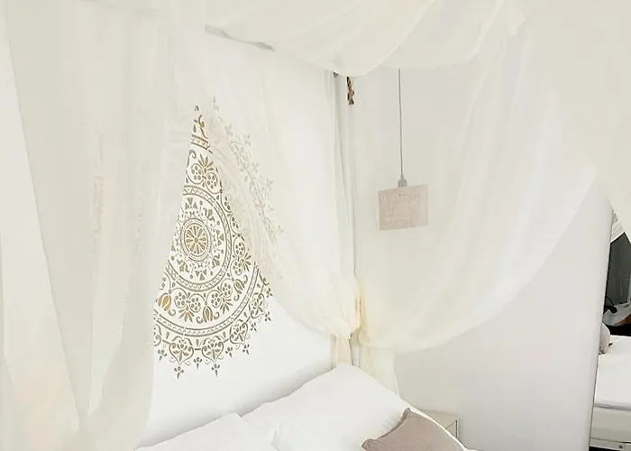 Szyszka W Ogrodzie Rogowo (Gryfice)