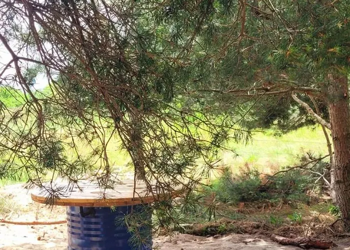 Szyszka W Ogrodzie * Rogowo (Gryfice)