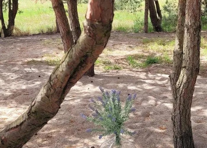 Szyszka W Ogrodzie Appartement Rogowo (Gryfice)