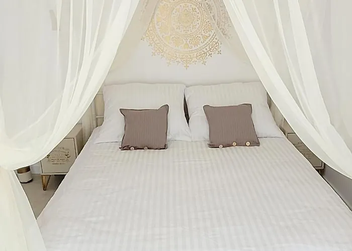 Szyszka W Ogrodzie *