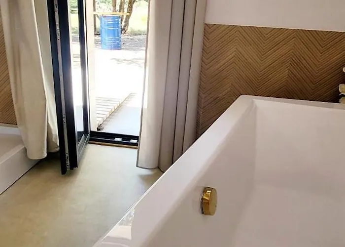 Szyszka W Ogrodzie * Rogowo (Gryfice)