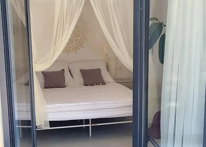 Szyszka W Ogrodzie Appartement