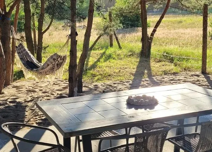 Szyszka W Ogrodzie *