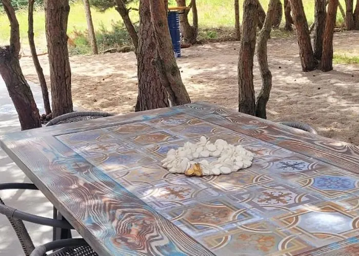 Szyszka W Ogrodzie Rogowo (Gryfice)